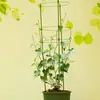 Suministros de jardinería soporte para flores soporte para plantas soporte de hierro esqueleto de tracción para macetas pilar soporte para flores soporte para flores trepadoras enredaderas