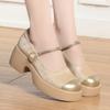 Zapatos de mujer Mary Jane de color a juego, zapatos de moda de primavera y otoño con falda con hebilla de tacón grueso, zapatos de mujer de una generación de cabello