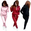 Otoño e invierno 2024 nuevas explosiones ropa de mujer ebay Amazon wish traje deportivo con capucha de forro polar europeo y americano mujer