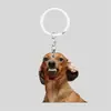 Chaveiro plano 2D pingente de mochila de férias cachorro de desenho animado criativo acrílico pequeno presente para eventos transfronteiriços