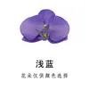Flor de simulación 7 cm Flor de Phalaenopsis de simulación cabeza de flor de tela de seda accesorios decorativos adornos de flores secas flores artificiales al por mayor