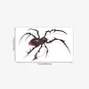 Pegatinas de Tatuaje de Halloween Araña Oscura Transfronterizas para Hombres y Mujeres Chicas Calientes Europeas y Americanas Pegatinas de Tatuaje Personalizadas