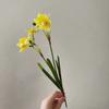 Nuevo narciso, flor artificial, flor de huevo, flor falsa amarilla, flor de plástico Juanhua, accesorios decorativos para fotografía, arreglo floral para boda