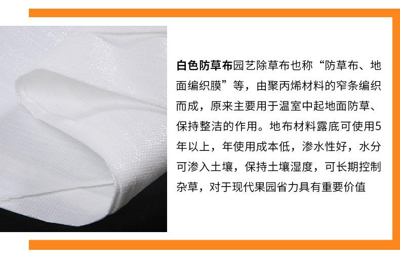 白色防草布_05