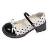 Sapatos Mary Jane da moda em estilo francês com salto grosso para mulheres, nova coleção outono 2026, design color block, perfeitos com vestidos, sapatilhas de salto alto