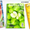 Colección de Cuadernos A4 Delgados: Cuadernos de Línea Horizontal, Alta Calidad, para Estudiantes Preparándose para Exámenes de Posgrado, Extra Gruesos, Cuadernos de Borrador y Práctica Seccionados, para Comercio Exterior