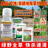 Paquete Rápido para Eliminar Malezas y Plantar para Huertos de Hojas Afiladas y Redondas, Campos de Té, Campos Agrícolas, Terrenos Baldíos y Jardines, Uso Universal Sin Dañar el Suelo