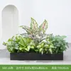 [Serie X80] Maceta Combinación Plantas Verdes Macetero Caja de Flores Flor Artificial Decoración Floral Planta Artificial Decoración de Paisaje Interior y Exterior