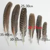 Venda Direta de Fábrica de Quase 100 Tipos de Acessórios Naturais de Penas Pequenas para Joias DIY, Acessórios de Cabeça, Broches, Chapéus, Materiais de Decoração para Artesanato