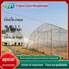 Estufa conectada a filmes exportação de vegetais e fruticultura estufa estufa sol luz solar estufa plantio de flores estufa estufa