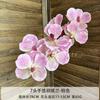 Simulação 7-cabeça mão-sentir Hu Jihua casamento decoração de casamento paisagem flor material casa decoração sala de estar wandai lan flor falsa