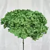 Hortensias Eternas al por Mayor, Hortensias Anna que Absorben el Color en Múltiples Colores, Ramos de Flores Secas para DIY, Al por Mayor del Fabricante