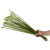 Hastes de Flores Artificiais, Hastes de Antúrio Vermelho, Hastes Retas, Cabeças de Flores Curvadas, Acessórios, Galhos Artificiais para DIY, Materiais para Arranjo de Flores, Atacado do Fabricante