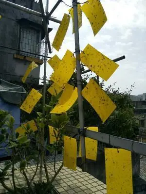 详情4