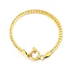 Pulsera de Cadena de Serpiente Plana Transfronteriza Europea y Americana, Cadena de Serpiente Redonda Personalizada de Moda, Accesorio de Mano Creativo de Cadena de Tirar de Acero Inoxidable para Mujer