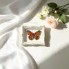 Mariposa Ojo de Esmeralda Azul Mariposa Real Imán para Refrigerador Espécimen Marco de Fotos Terminado Regalo de Gama Alta Pintura Decorativa