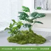 Planta Verde de Simulación Paisajismo de Suelo Flor Artificial Planta Decorativa Combinación Esquina Ranura Cubierta Escena Musgo Interior Desagradable Arreglo