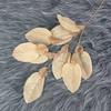 9 Hojas Grandes de Toronja para Arreglos Florales de Boda, Hojas Decorativas, Flores de Seda, Hojas de Flores Artificiales, Materiales de Decoración de Boda de Caqui
