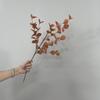 Folhas de Eucalipto Simuladas 72 Folhas Decoração de Casamento Eucalipto Mobiliário para Casa Plantas Verdes Paisagismo Flores Artificiais Folhas de Eucalipto Amazon