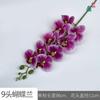 7 Phalaenopsis 9 Phalaenopsis Pastoral Hogar Película Sentimiento Adornos Flor de Seda Hotel Set Simulación Flor