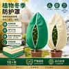Capa de proteção contra geada para plantas, capa anticongelante de tecido não tecido, capa de isolamento de inverno para árvores, arbustos e plantas em vasos, proteção contra geada para árvores frutíferas ao ar livre, transfronteiriço