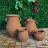 Maceta de terracota maceta de terracota maceta de arcilla antigua diámetro grande bonsái planta verde suculenta echeveria tocón viejo sala de estar transpirable