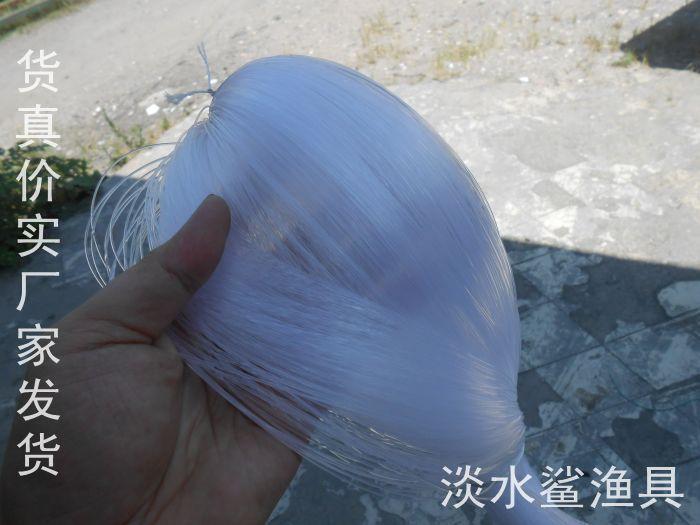 照片 154