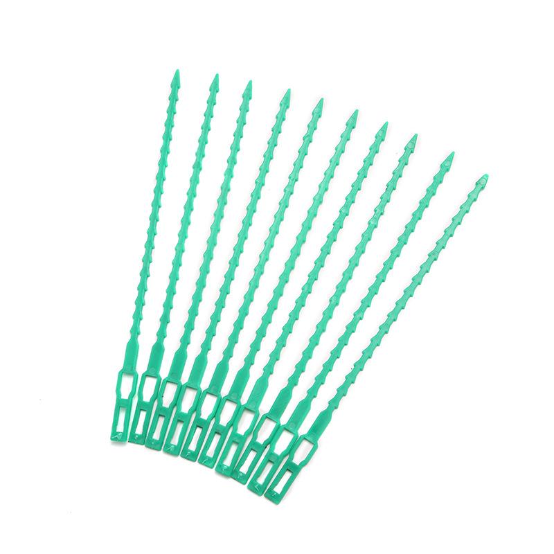 C67A4555