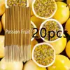 Maracuyá [Artículo Caliente Transfronterizo] Palillos de Bambú Sabor Fruta de 22 cm, Palillos de Aromaterapia, Xiyin Temu