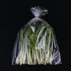 Bolsa microporosa para verduras bolsa de embalaje hidratante bolsa de conservación de verduras bolsa microporosa bolsa de plástico transpirable OPP bolsa de embalaje con agujeros pequeños