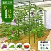 Treliça de Uva Treliça de Escalada para Jardinagem Pátio Externo Horta Suporte para Uva Melão Amargo Lufa Maracujá Treliça