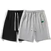 Shorts Primavera e Verão Tendência Soltos Retos Casuais Masculino Estilo Cinco Pontos 2025 Novos Calças Esportivas Masculino Tamanho Grande Estilosos
