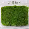Micro-Paisagem de Musgo, Musgo Cabelo Branco Seco ao Ar/Fresco, Acessórios e Materiais, Embalado em Caixa, Parede de Musgo para Interior