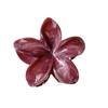 Clipes de flor com auréola doce, presilha de flor de ovo da moda, placa de presilha de cabelo, presilha de tubarão para cabelo, presilha para rabo de cavalo de meio cabelo, acessórios de cabelo para atacado