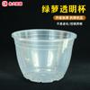 Taza de Potos Cultivado en Agua con Absorción Automática de Agua, Maceta Exterior Transparente, Maceta de Plástico para Jardineros Perezosos, Cultivo Hidropónico, Maceta con Almacenamiento de Agua