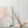 Ramas de flores secas de sauce dragón secas, estilo avanzado de silencio, estilo zen natural, arreglos florales para sala de estar, ramas secas, adornos decorativos