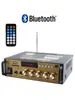 Mini Amplificador de Potencia Máquina Amplificador de Potencia para Altavoz Tarjeta Amplificador de Potencia Radio USB DC 12V 220V Amplificador de Potencia Bluetooth