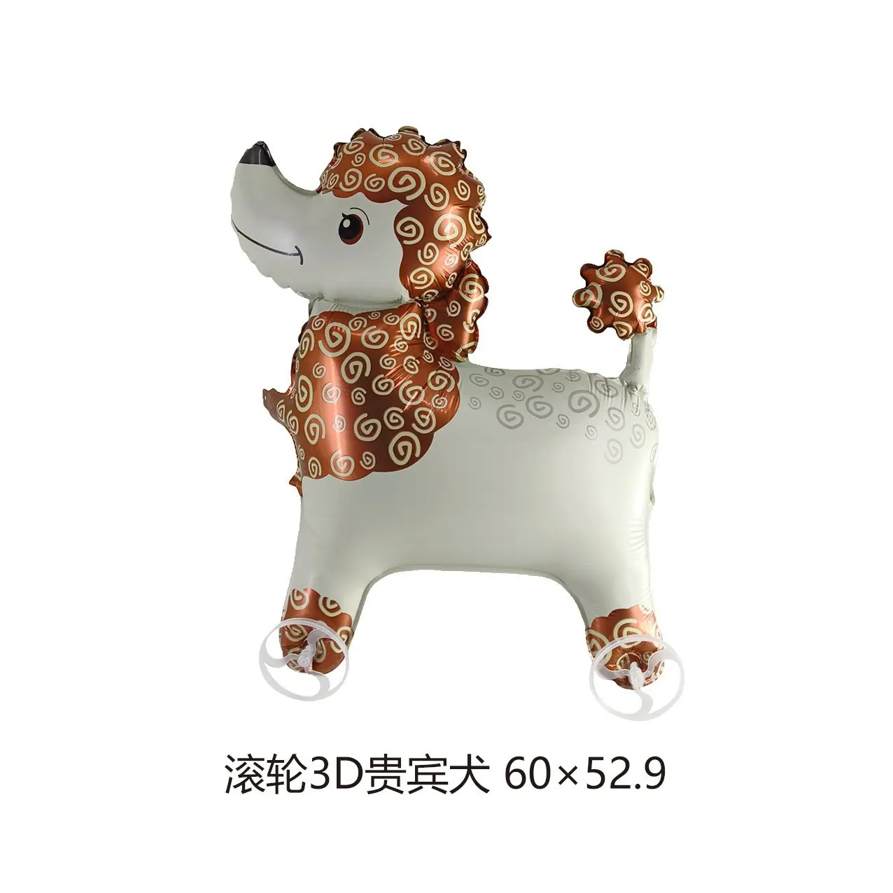 4.6贵宾犬