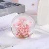 Criativo Dente-de-leão Flor Seca Espécime Bola de Cristal Resina Artesanato de Madeira Natural Enfeites Decorações para Casa Presente