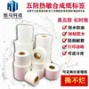 Etiqueta autoadhesiva de papel térmico sintético a prueba de cinco cosas, a prueba de desgarros, para almacenamiento en frío, verduras frescas, resistencia a bajas temperaturas, en stock
