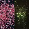 Grava Luminosa Material de Relleno de Bolas Hecho a Mano Bola Ruidosa Arena Movediza Mahjong Pegamento de Cristal Bolsita para Joyería Hecha a Mano