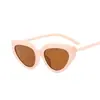 Gafas de sol nuevas de ojo de gato triangulares 2023 Gafas de sol europeas y americanas de moda protector solar transfronterizo gafas de sol para mujer forma cóncava