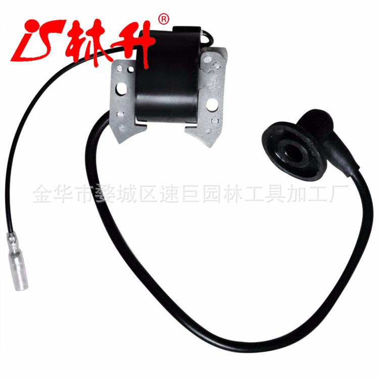 Ignition Module Coil Assembly