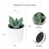 Más de 100 Tipos de Combinaciones de Plantas Suculentas Mini de Plástico Simuladas en Maceta, Mini Bonsáis Suculentos Más Vendidos Transfronterizos, Decoración para el Hogar, Adornos Creativos