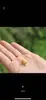 (No se vende por separado) pulsera de los doce signos del zodiaco joyería DIY accesorios de dibujos animados del año de nacimiento pulsera accesorios con cuentas
