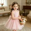 Bebé Niño Pequeño Cumpleaños Primer Año Transfronterizo Estilo Europeo Americano Fiesta de Niñas Vestido de Princesa Moño Trasero Desmontable Comercio Exterior