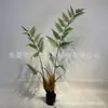 Estilo nórdico mono dorado biónico Helecho Planta verde viral cabeza de mono Helecho en maceta árbol falso pelo dorado perro Helecho adornos para sala de estar interior