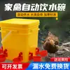 Bebedouro Automático Transfronteiriço para Criação de Frangos, Tigela de Água para Frangos, Patos e Gansos, Tanque de Água Automático para Aves, Balde de Beber para Frangos