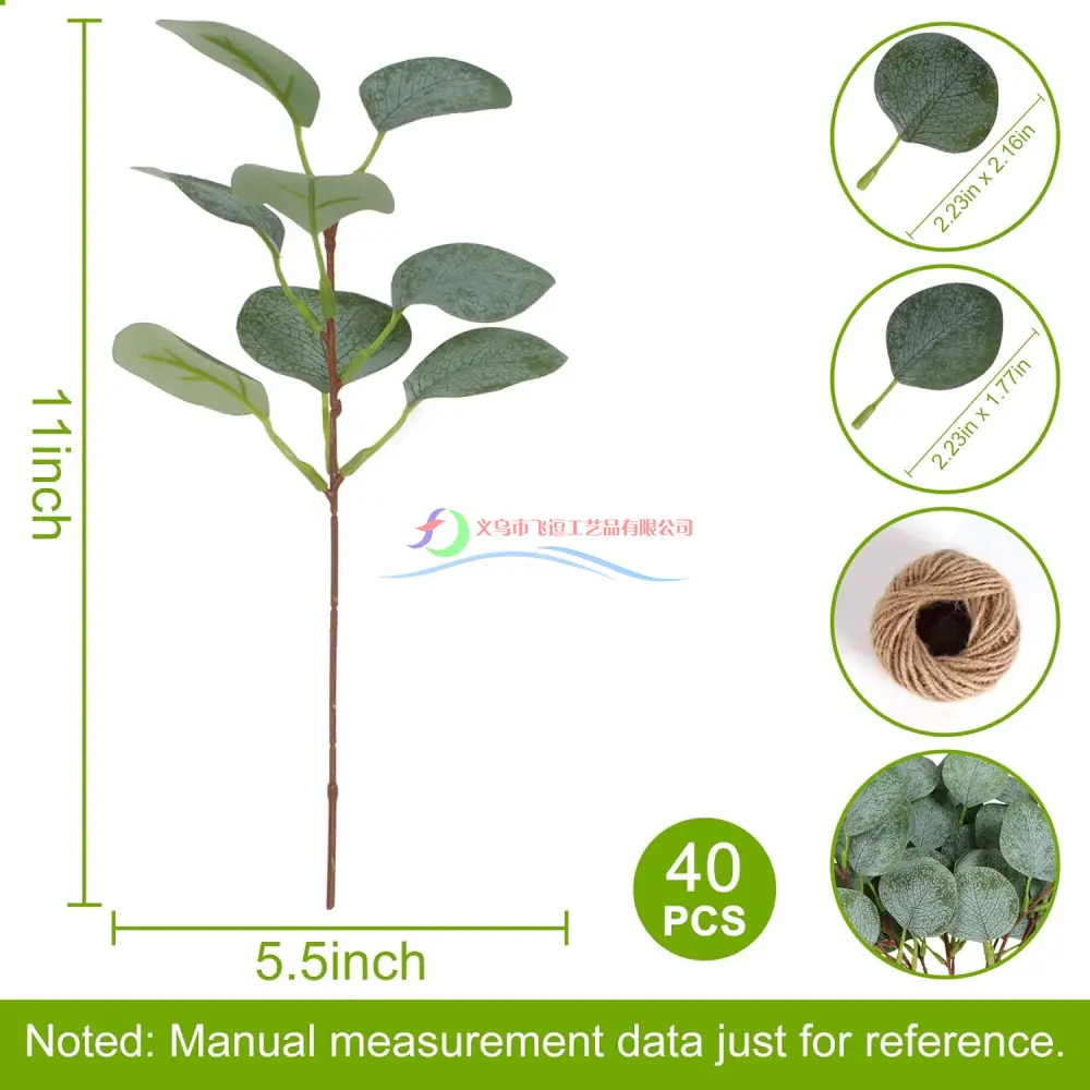 主图_Eucalyptus_Leaf_002.jpg