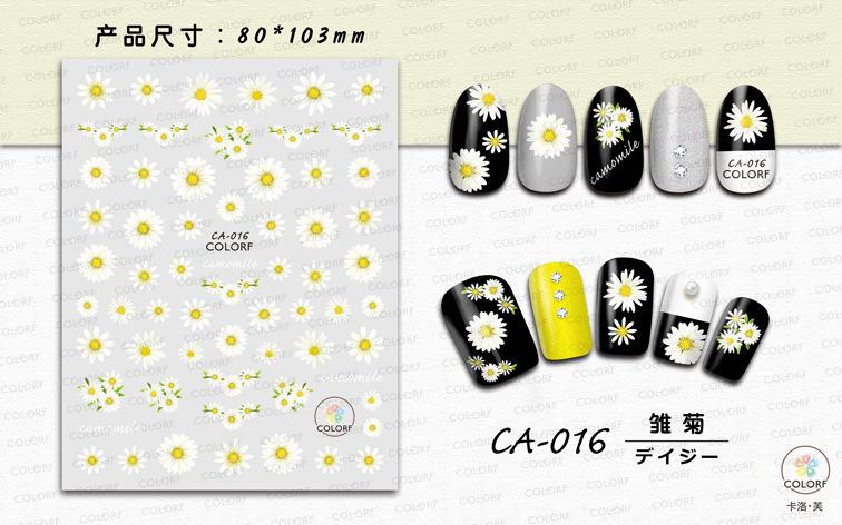 CA-016 雏菊